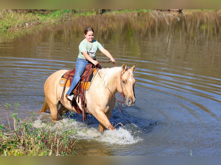 Caballo cuarto de milla Yegua 10 años 157 cm Palomino in Forney