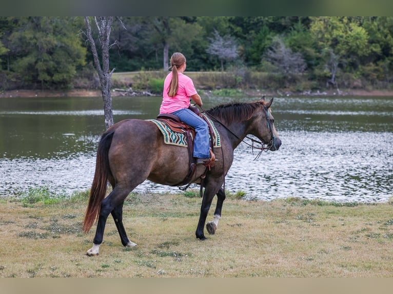 Caballo cuarto de milla Yegua 13 años 152 cm Buckskin/Bayo in Forney
