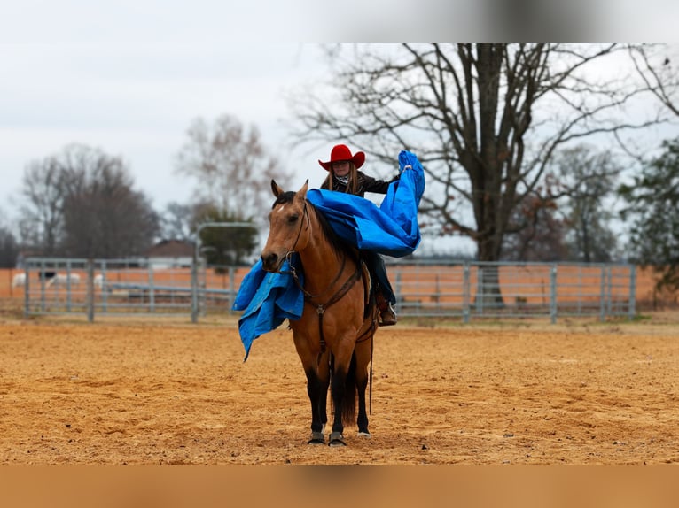 Caballo cuarto de milla Yegua 13 años 152 cm Buckskin/Bayo in Quitman