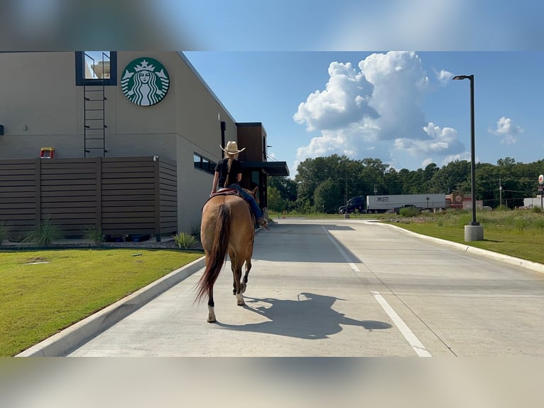 Caballo cuarto de milla Yegua 13 años 155 cm Bayo in Bloomburg, TX