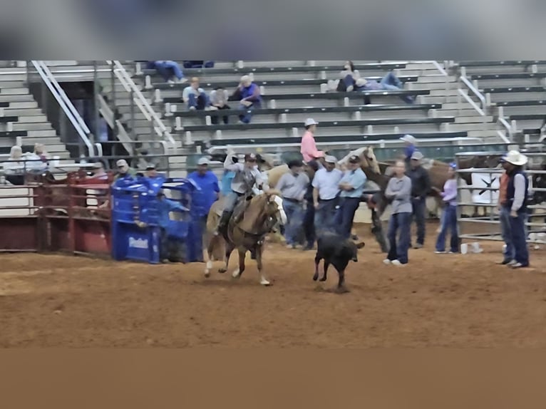 Caballo cuarto de milla Mestizo Yegua 13 años Alazán rojizo in Weatherford