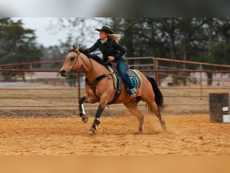Caballo cuarto de milla Yegua 14 años 152 cm Buckskin/Bayo in Quitman