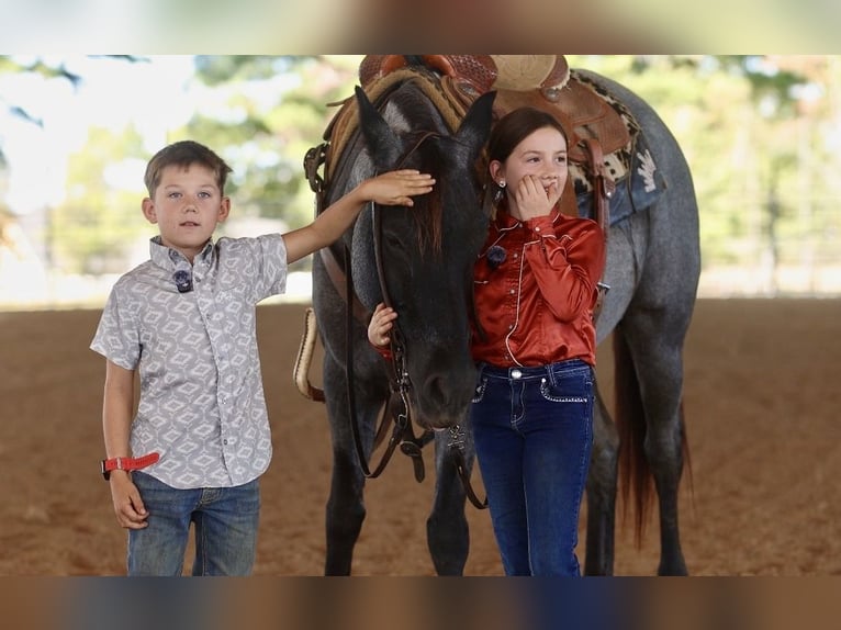 Caballo cuarto de milla Yegua 14 años Ruano azulado in Bee Branch