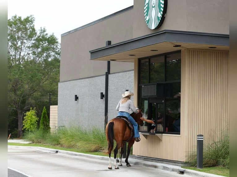 Caballo cuarto de milla Yegua 15 años 147 cm Buckskin/Bayo in Quitman