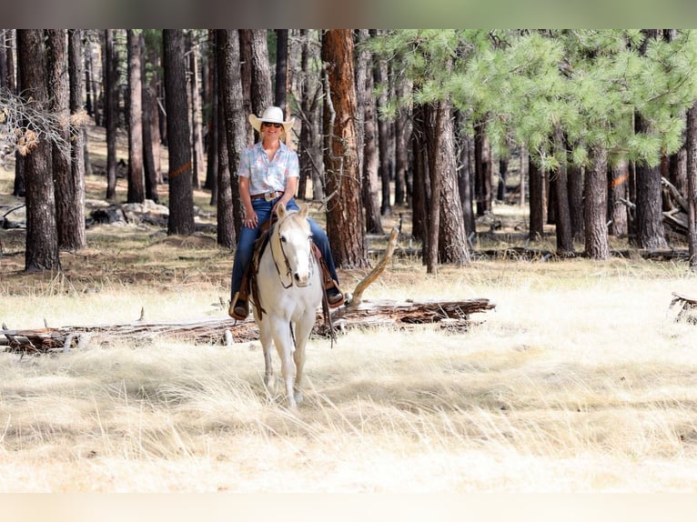 Caballo cuarto de milla Yegua 15 años 152 cm Tordo in Cottonwood AZ