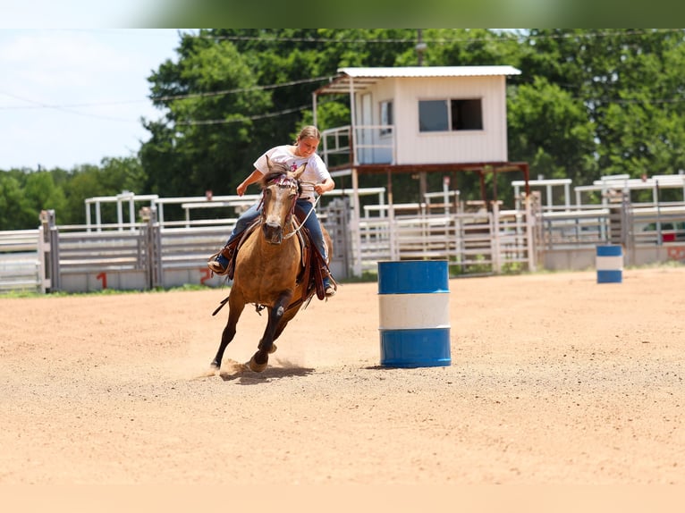 Caballo cuarto de milla Yegua 15 años Buckskin/Bayo in Terrell