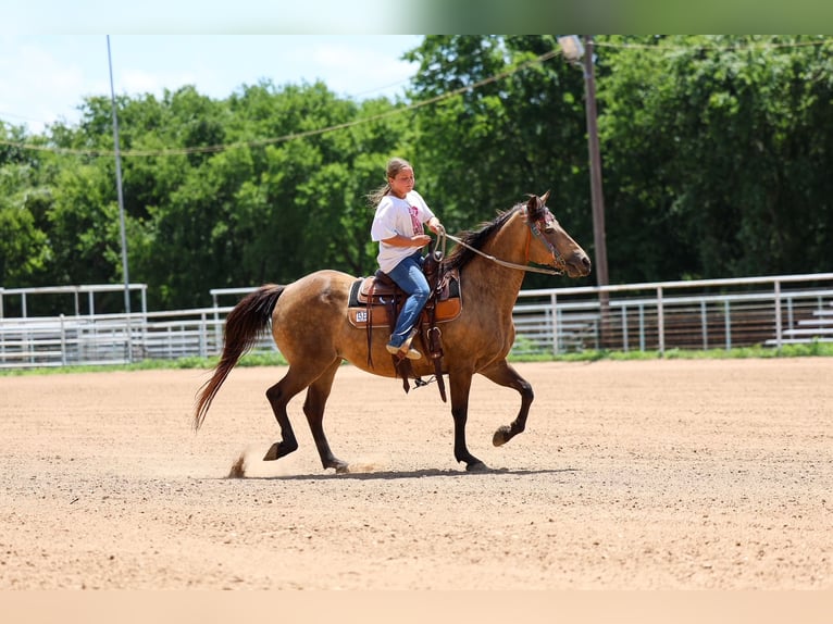 Caballo cuarto de milla Yegua 15 años Buckskin/Bayo in Terrell