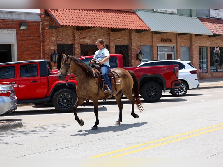 Caballo cuarto de milla Yegua 15 años Buckskin/Bayo in Terrell