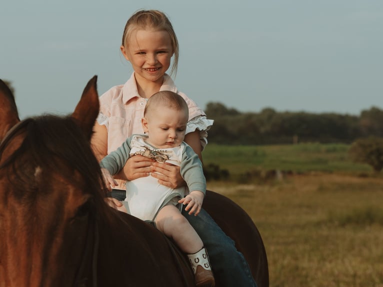 Caballo cuarto de milla Yegua 17 años 138 cm  in Whitehouse