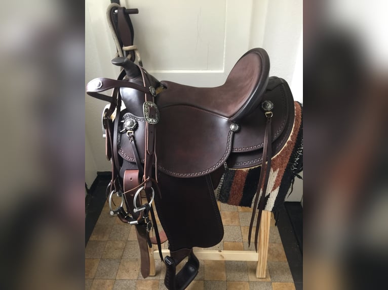 Caballo cuarto de milla Yegua 19 años 146 cm Morcillo in Scharnhorst