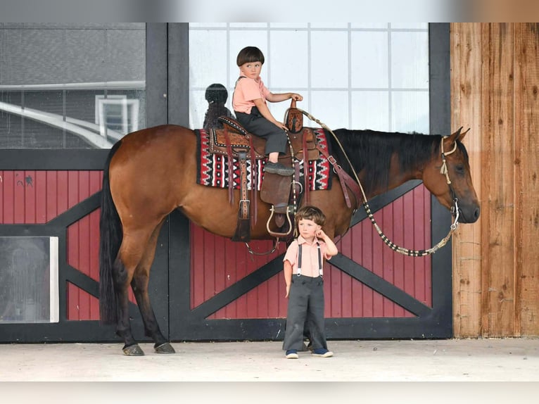 Caballo cuarto de milla Yegua 3 años Castaño rojizo in Rebersburg