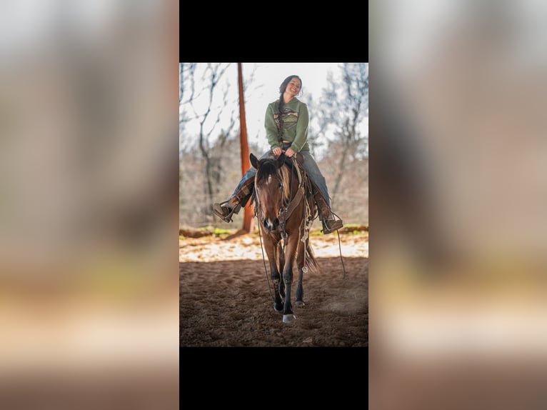 Caballo cuarto de milla Yegua 4 años 150 cm Castaño rojizo in Russellville, AR