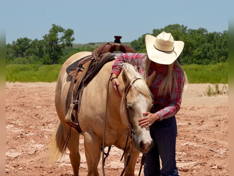 Caballo cuarto de milla Yegua 4 años 155 cm Palomino in Amarillo, TX