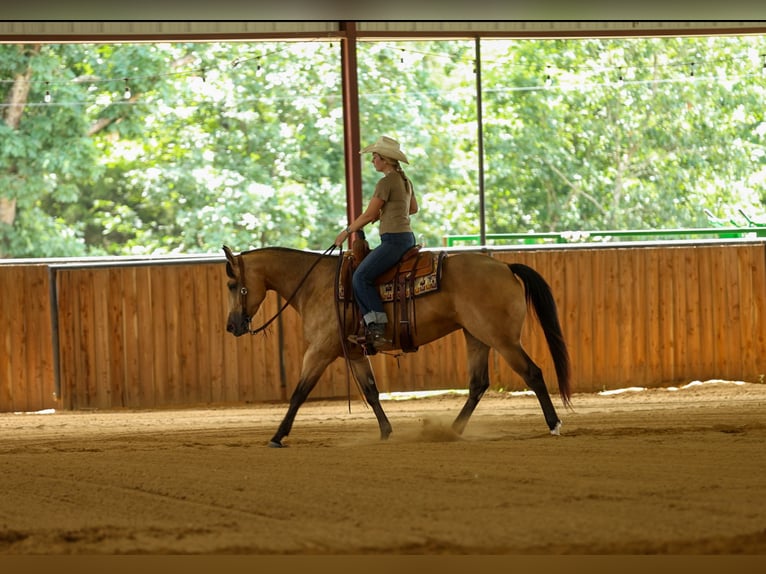 Caballo cuarto de milla Yegua 4 años Buckskin/Bayo in Quitman