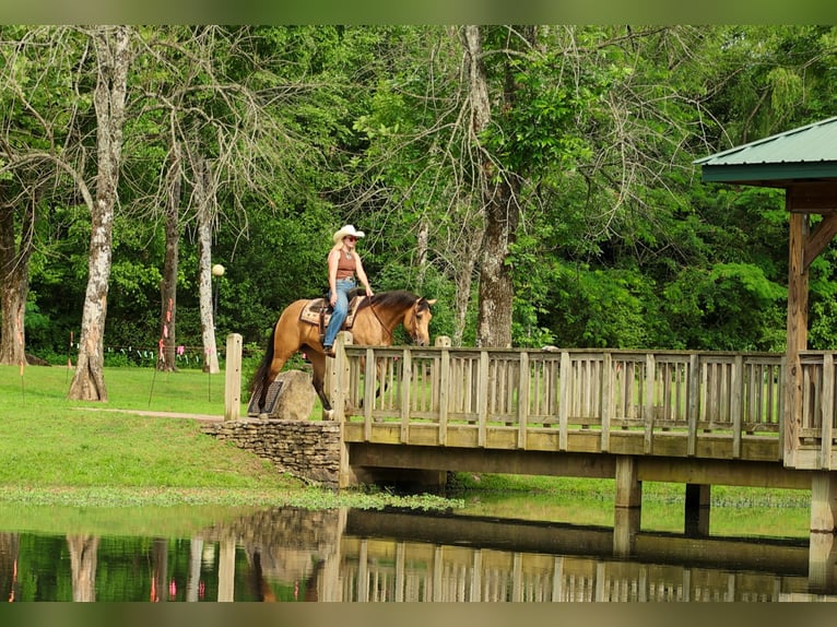 Caballo cuarto de milla Yegua 4 años Buckskin/Bayo in Quitman