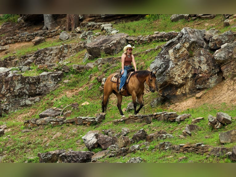 Caballo cuarto de milla Yegua 4 años Buckskin/Bayo in Quitman