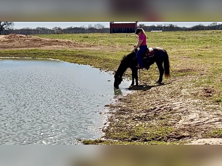 Caballo cuarto de milla Yegua 5 años 142 cm Ruano azulado in Whitesboro, TX