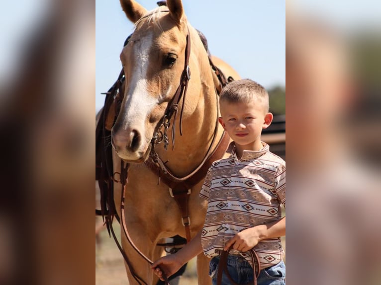 Caballo cuarto de milla Yegua 5 años 147 cm Palomino in Stephenville, TX