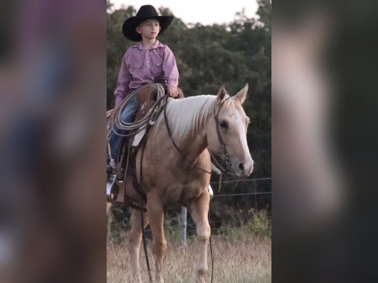 Caballo cuarto de milla Yegua 5 años 147 cm Palomino in Stephenville, TX