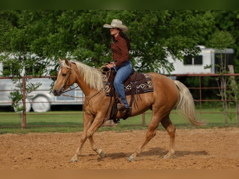 Caballo cuarto de milla Yegua 5 años 150 cm in Joshua, TX