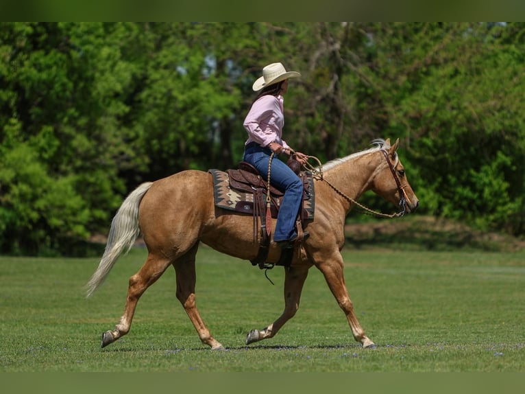 Caballo cuarto de milla Yegua 5 años 150 cm in Joshua, TX
