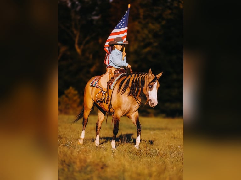 Caballo cuarto de milla Yegua 5 años 152 cm Bayo in Lyles, TN