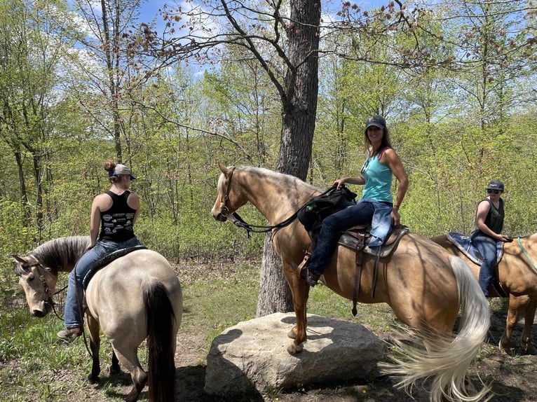 Caballo cuarto de milla Yegua 5 años 160 cm Palomino in Terrell, TX
