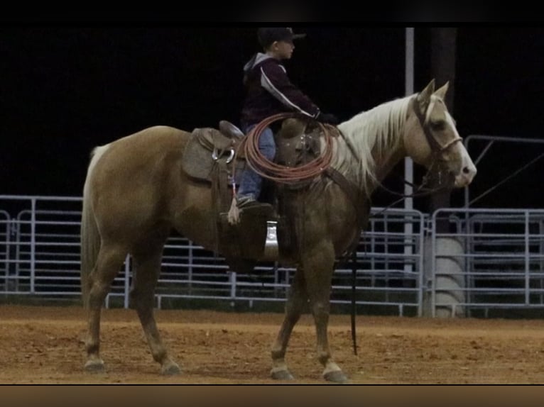 Caballo cuarto de milla Yegua 6 años 142 cm Palomino in Stephenville, TX