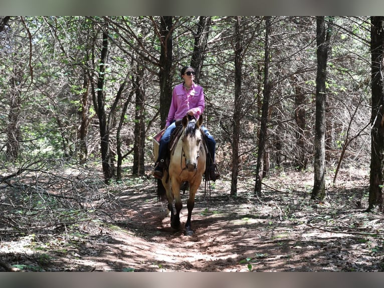 Caballo cuarto de milla Yegua 6 años 152 cm Buckskin/Bayo in Ripley