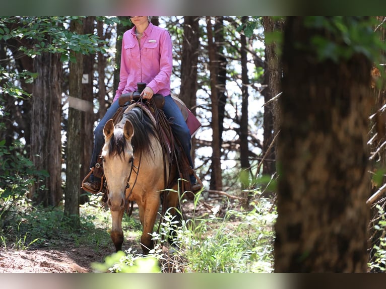 Caballo cuarto de milla Yegua 6 años 152 cm Buckskin/Bayo in Ripley
