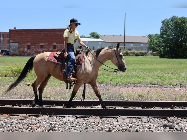 Caballo cuarto de milla Yegua 6 años 152 cm Buckskin/Bayo in Ripley