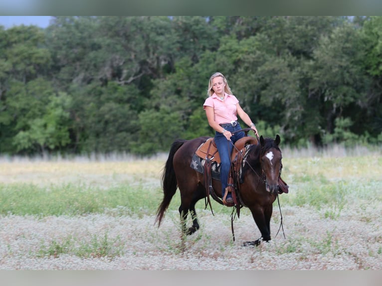 Caballo cuarto de milla Yegua 6 años 152 cm Castaño rojizo in lipan TX