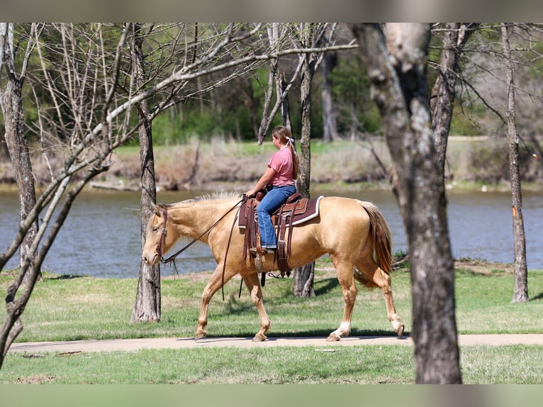 Caballo cuarto de milla Yegua 6 años 152 cm Champán in Forney