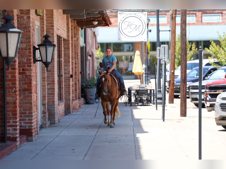 Caballo cuarto de milla Yegua 6 años Alazán rojizo in Terrell