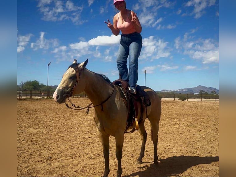 Caballo cuarto de milla Yegua 6 años in Marana AZ
