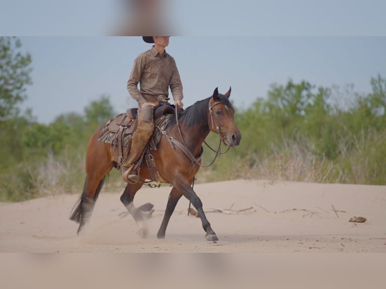 Caballo cuarto de milla Yegua 6 años Castaño rojizo in Byers