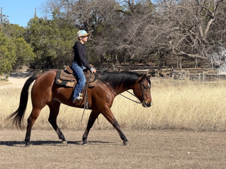 Caballo cuarto de milla Yegua 7 años 147 cm Castaño rojizo in Cleburne
