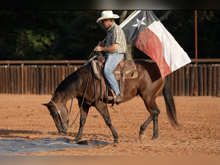 Caballo cuarto de milla Yegua 7 años Castaño rojizo in Weatherford