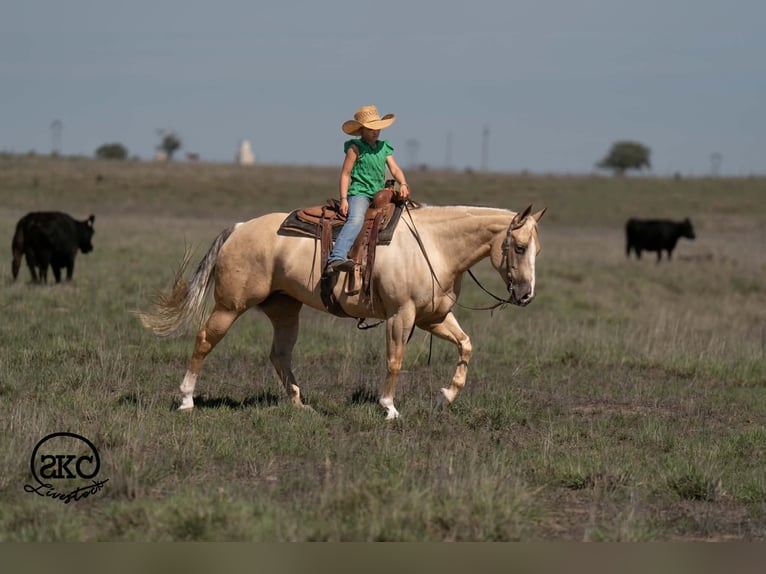 Caballo cuarto de milla Yegua 7 años Palomino in Canyon