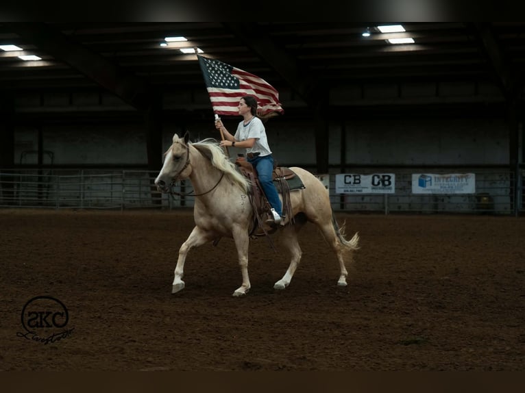 Caballo cuarto de milla Yegua 7 años Palomino in Canyon