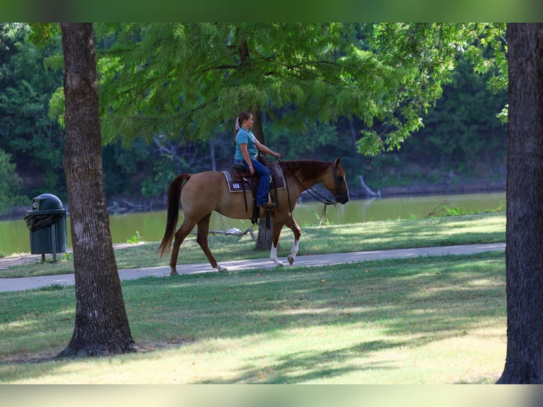 Caballo cuarto de milla Yegua 7 años Red Dun/Cervuno in Terrell