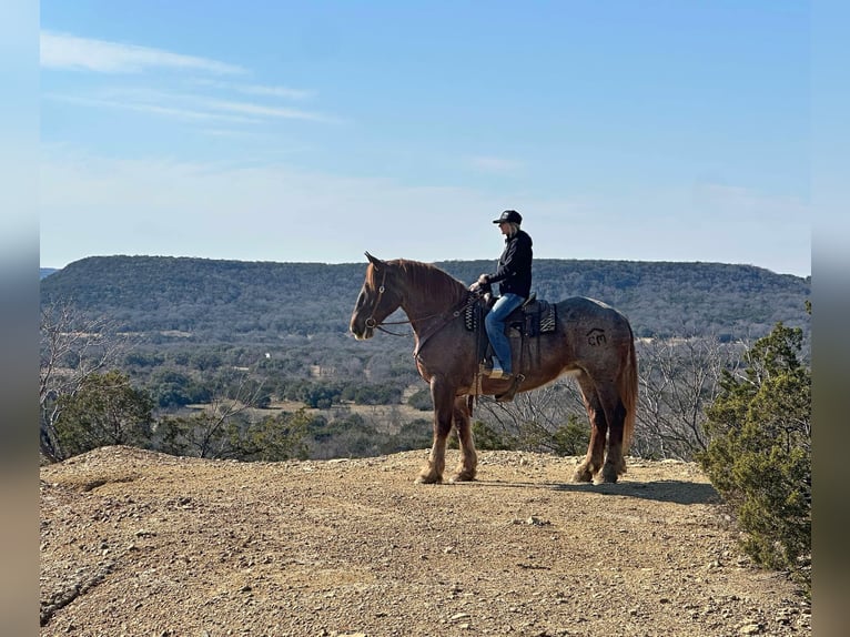 Caballo cuarto de milla Yegua 8 años 168 cm Ruano alazán in Jacksboro TX