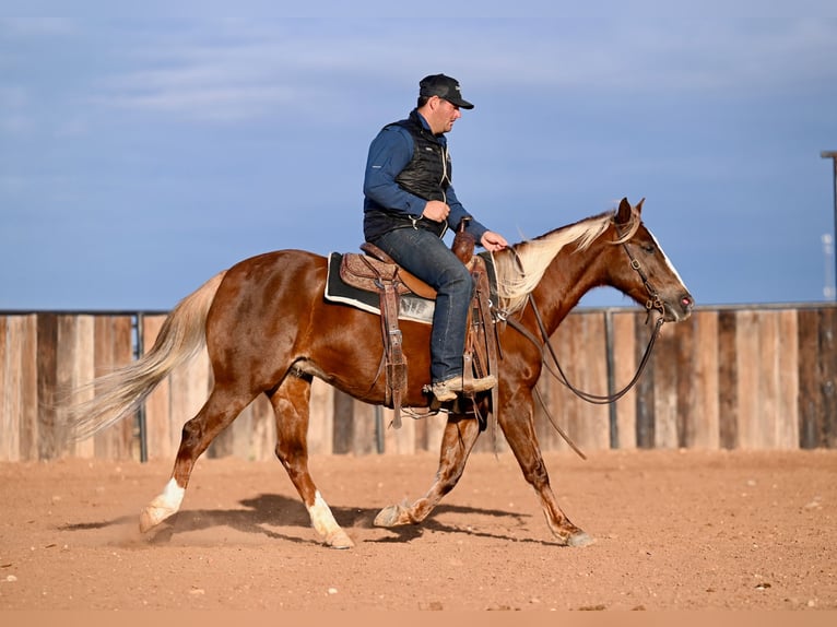 Caballo cuarto de milla Yegua 9 años 147 cm Alazán rojizo in Cresson, TX