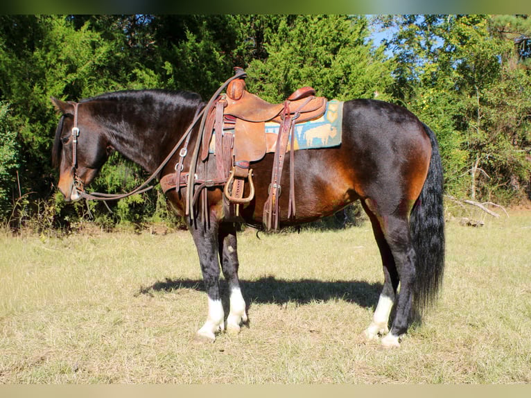 Caballo cuarto de milla Yegua 9 años 147 cm Castaño rojizo in Rusk TX