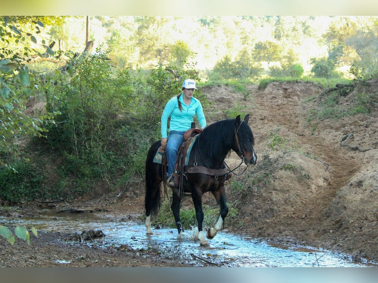 Caballo cuarto de milla Yegua 9 años 147 cm Castaño rojizo in Rusk TX