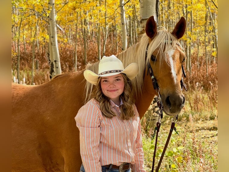 Caballo cuarto de milla Yegua 9 años 150 cm Palomino in Camp Verde