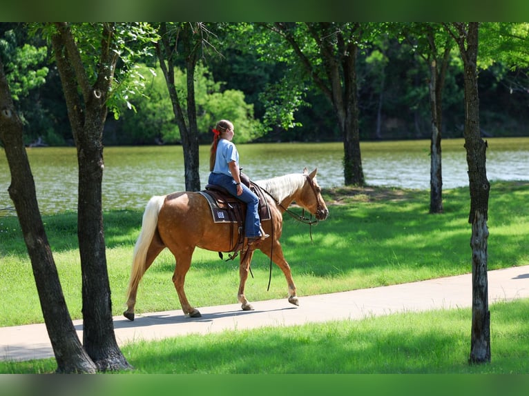 Caballo cuarto de milla Yegua 9 años Palomino in Forney