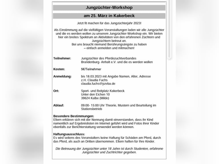 Caballo de deporte alemán Yegua 16 años 167 cm Castaño in Loburg