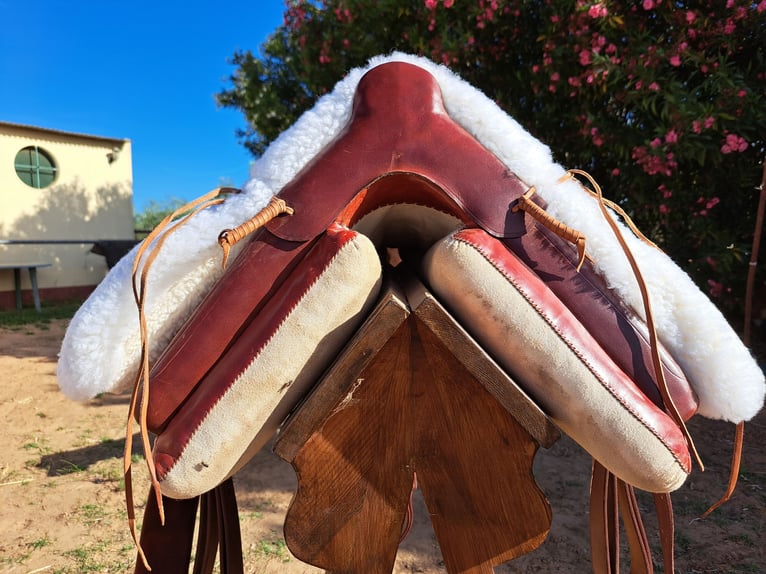 Caballo de deporte español Mestizo Caballo castrado 9 años 165 cm Tordo in Almonte