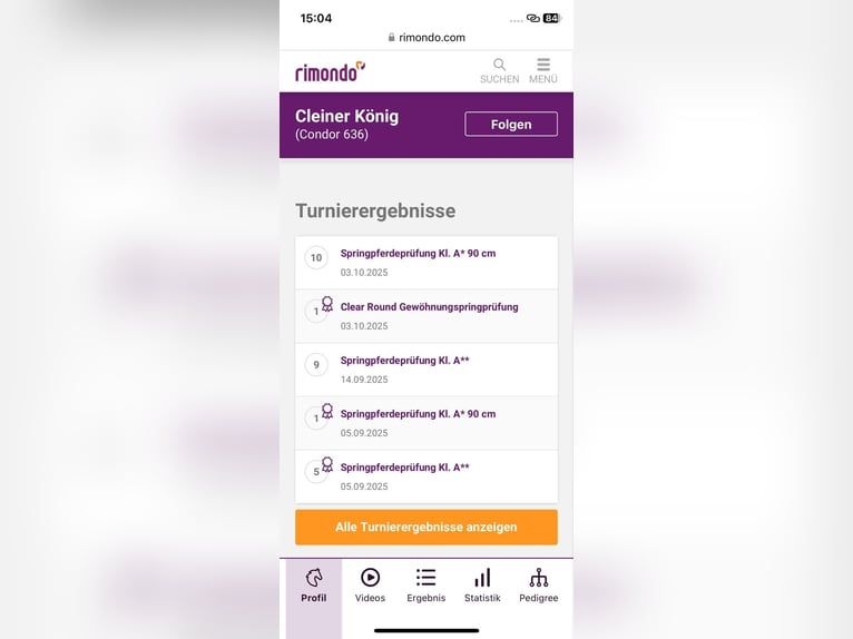 Caballo de Holstein Caballo castrado 4 años 172 cm Tordo in Bischofsheim